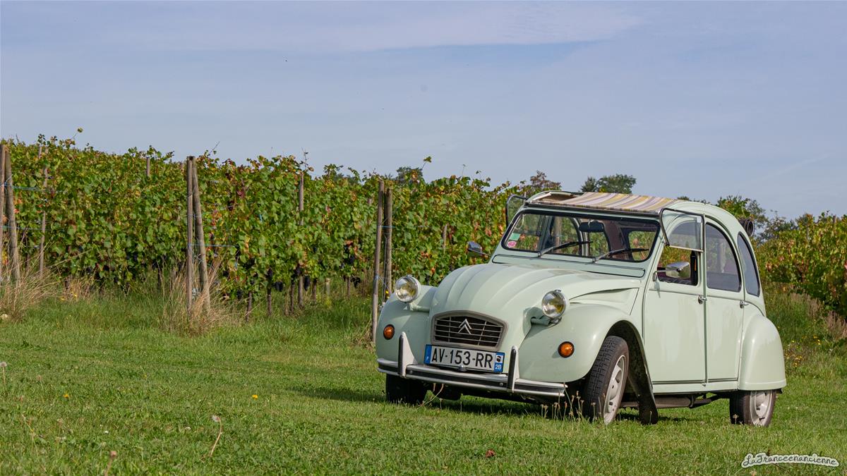 Retour à la maison en 2cv en passant par les vignes normandes – La ...